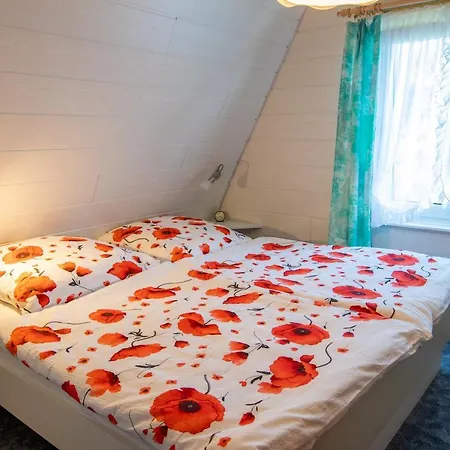 Boddenkieker Apartament Freest