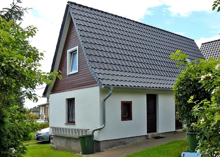 Boddenkieker 弗里斯特