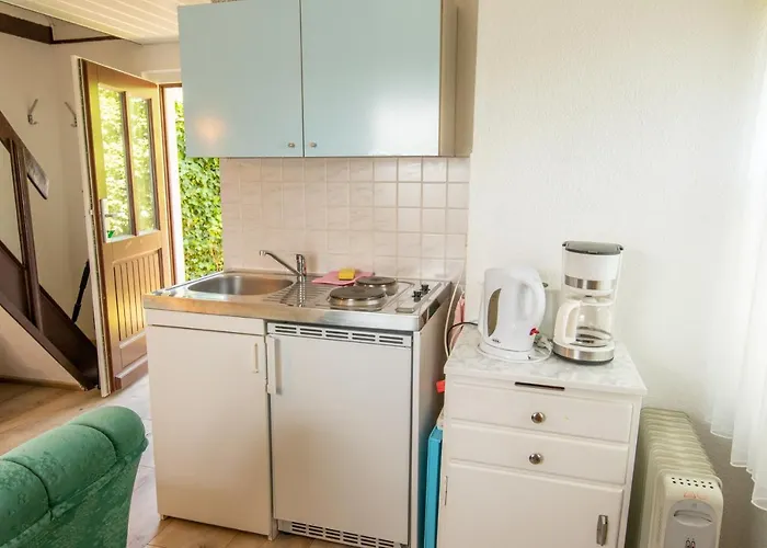 公寓 Boddenkieker 弗里斯特