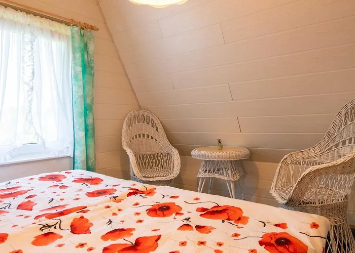 Boddenkieker 弗里斯特